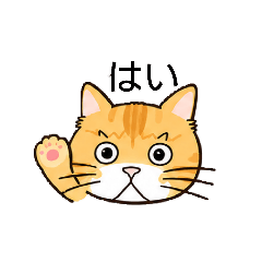 my_20260604235001