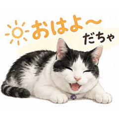 tomochi_20260605174409