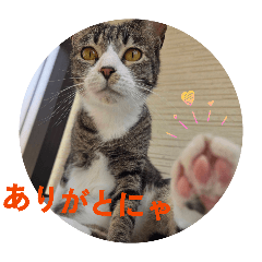 Arisu_20260605180501