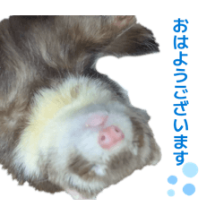 Kira & Raki's Everyday Stickers