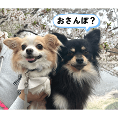 MIKI_20260605180529
