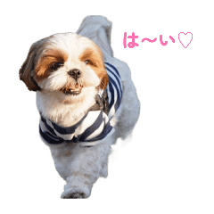 saki_20260605182209