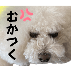 kazuo_20260605182719