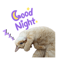 7aaa3iiii