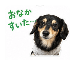 mamo_20260605182711