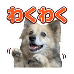 maru_20260605193936