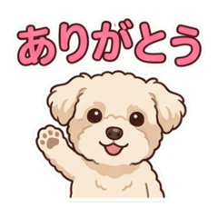tantan_20260605194241