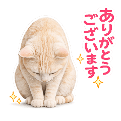 ryohanon