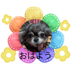 kaori_20260605200157