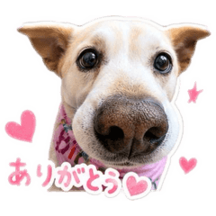 hana_20260605203935