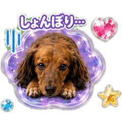 sa-yan_20260605