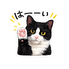 yumi.k_20260605210045