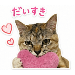 miki_20260605205744