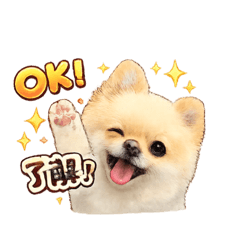 cottsu_20260605212446