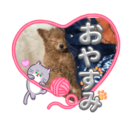 tenneko_20260605212228
