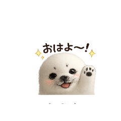 fuwa_fuwa_20260605214219