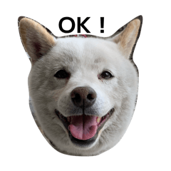 kiyoshima kuma no stamp