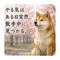 Yoka_20260605220704