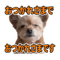 daisuke_20260605221339