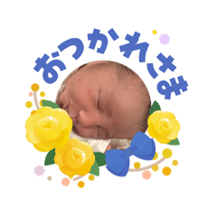 Yukari_20260605221257