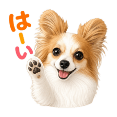 YAPPY_20260605223912