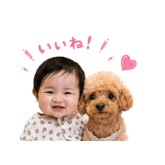 dafu_20260605222109