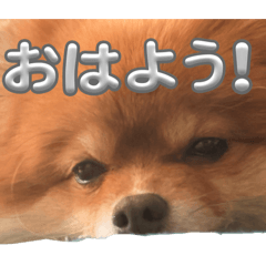Atsuya_20260605225742