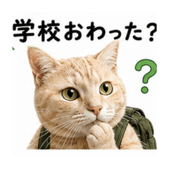 Feelings of Tora_