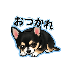 azuki_20260605233952