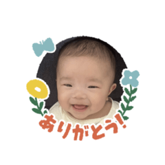 maru_20260605235931