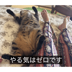 unimaru_20260606012508