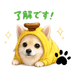 YU_20260606013158