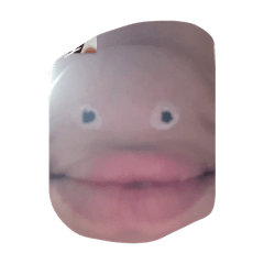ai_20260606021234