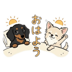 chiwaxs