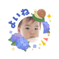Nori_20260606070727