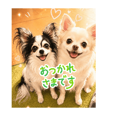 syokora_20260606070504