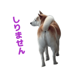 otokin_20260606083138