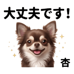hokkaidoanzu