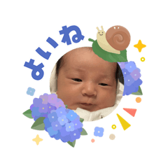 hina_baby_20260606