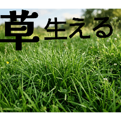 konnitihb_20260606093814