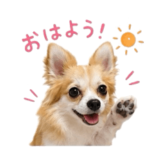 Mii_20260606093140