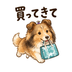 tatsu_20260606095054