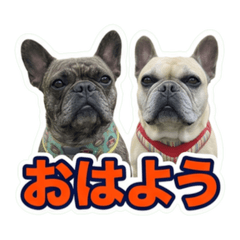 hanamomochn