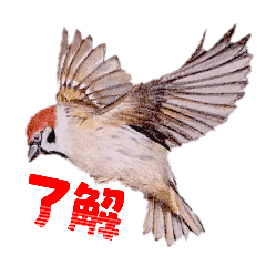 nami_20260606092039