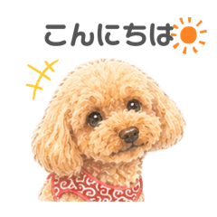 nori_20260606094205