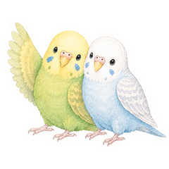 Fuwari-sha Budgie Daily Stickers