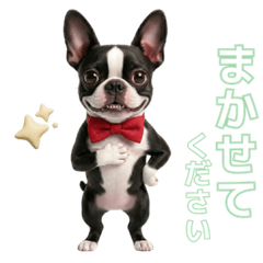 bostonterrier_sticker02
