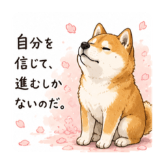 Yoka_20260605222927