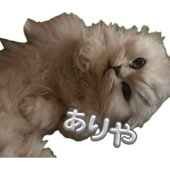 wkiyu_20260605232111
