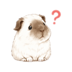 Russian Smoke Guinea Pig Stickers